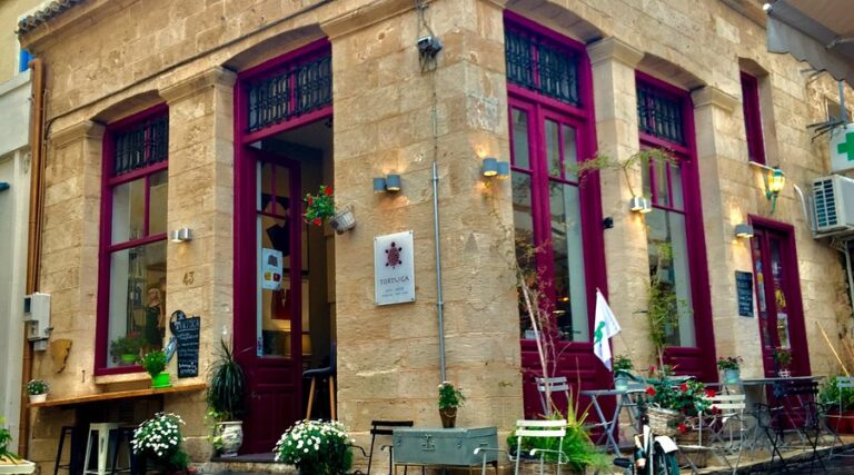 tortuga artcafe 768x427